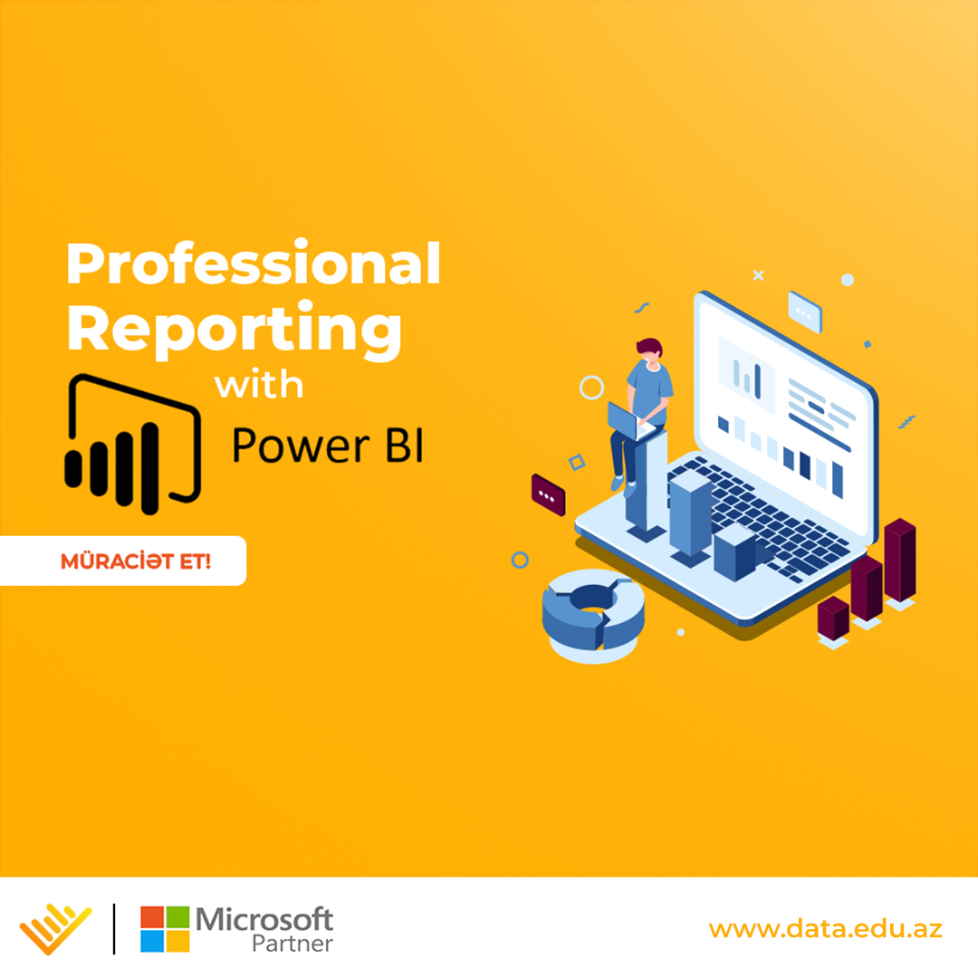 Professional Reporting with Power BI